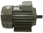 Двигатель Kocateq OMJ36 motor