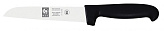 Нож кухонный ICEL Practica 24100.3201000.070